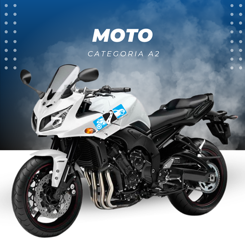 licencia moto